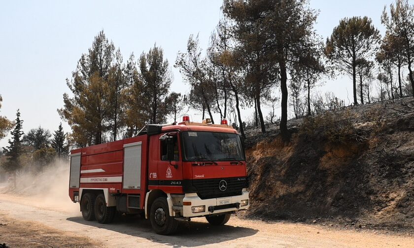 Ηλεία: Οριοθετήθηκε η πυρκαγιά στην περιοχή Μουζάκι