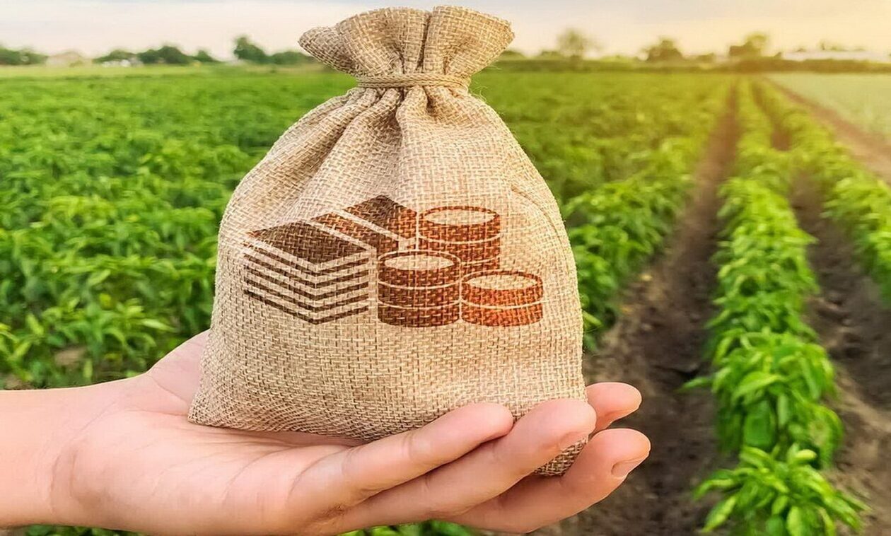 Μείωση φόρου κατά 50% για συνεταιρισμένους αγρότες - Ποιους αφορά