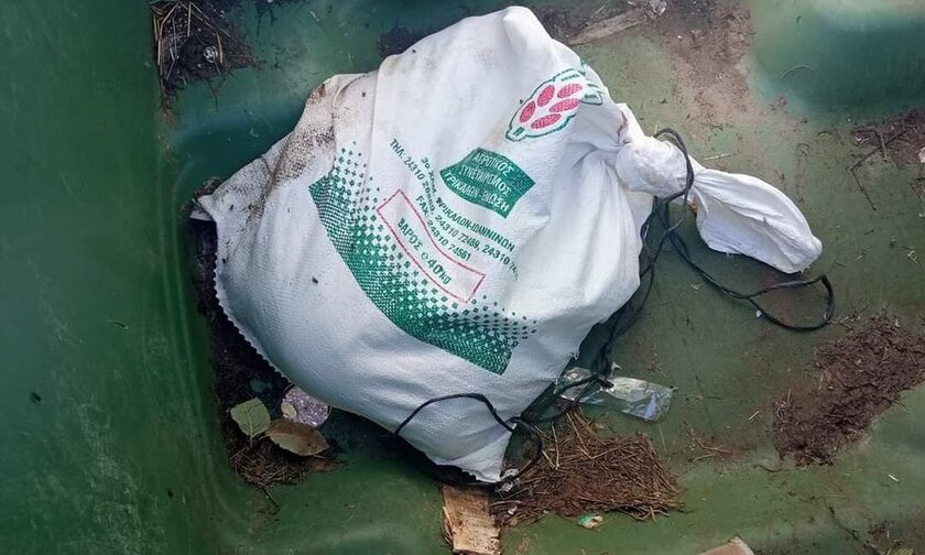 Απίστευτη βαρβαρότητα στα Τρίκαλα: Έπνιξαν 5 κουταβάκια και τα πέταξαν στα σκουπίδια