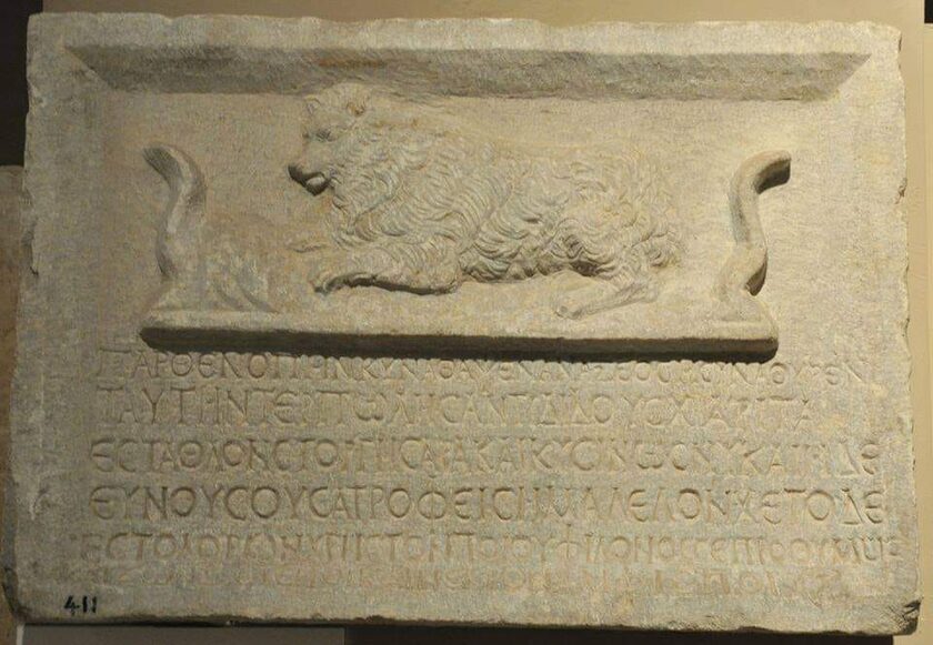 Μυτιλήνη: Ο τάφος της σκυλίτσας «Παρθενόπη» στην αρχαία ακρόπολη και η επιτύμβια στήλη