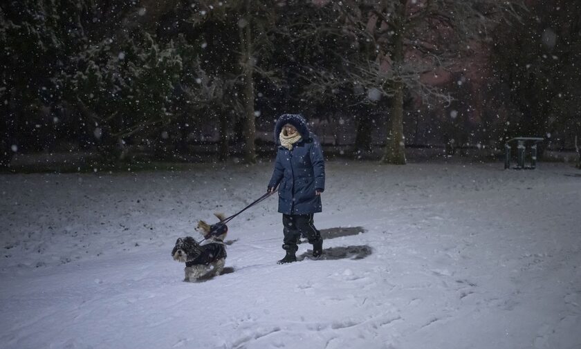 Σφοδρή κακοκαιρία στο Λονδίνο: Χιόνια, ακυρώσεις πτήσεων και… αλεπούδες στον δρόμο
