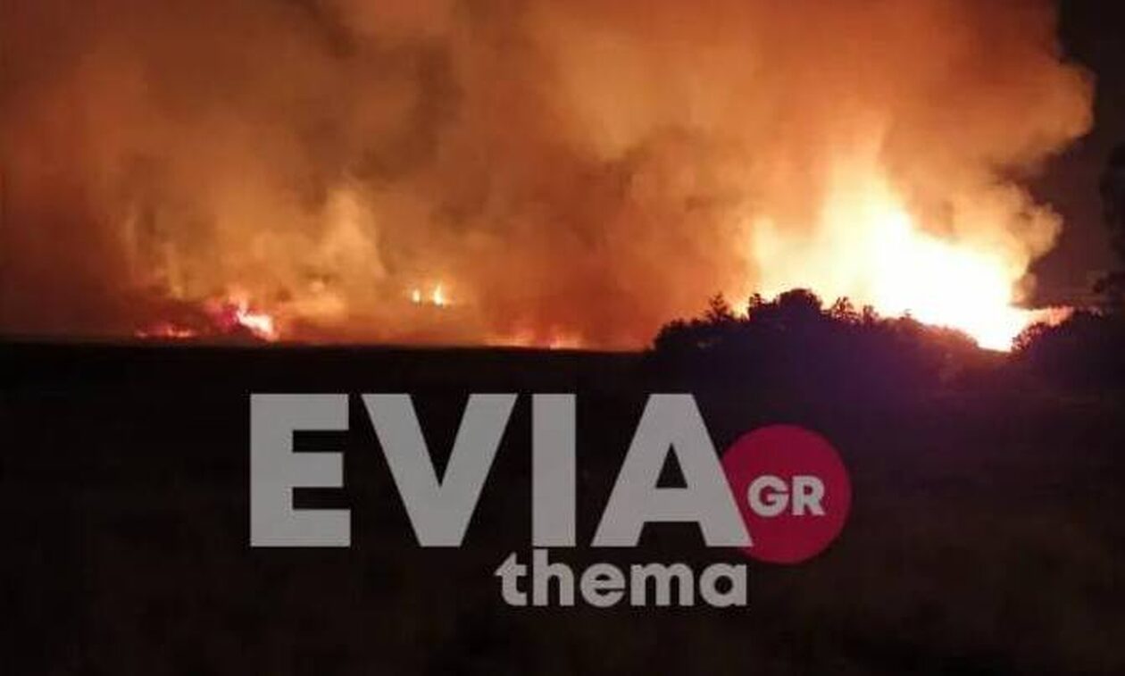 Συναγερμός στην Εύβοια: Μεγάλη φωτιά στα Ψαχνά