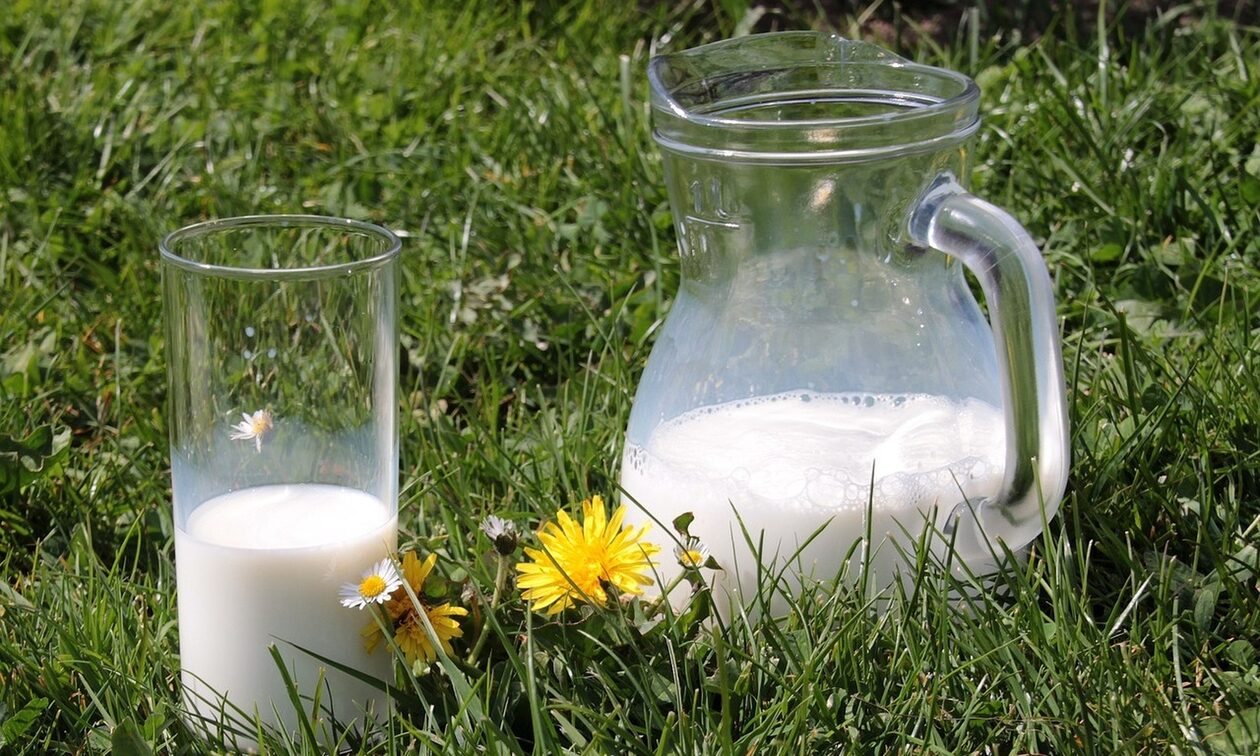 ΕΛΓΟ - ΔΗΜΗΤΡΑ: Μειώθηκαν οι κτηνοτρόφοι που παραδίδουν αγελαδινό γάλα