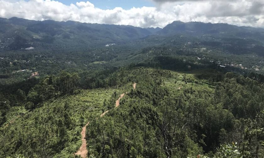 Ονδούρα: Μέσα σε 11 χρόνια έχασε 10% των δασών της