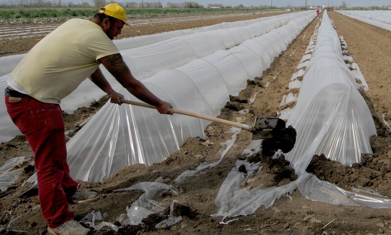 Κρήτη: Αναβρασμός για την έλλειψη εργατών γης – Πιέζουν για λύση οι αγρότες