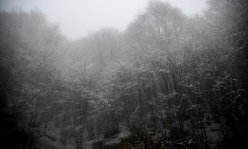 Κακοκαιρία Μπάρμπαρα: Χιόνια στη Μακεδονία - Κατηφορίζει προς την Αττική το ψύχος