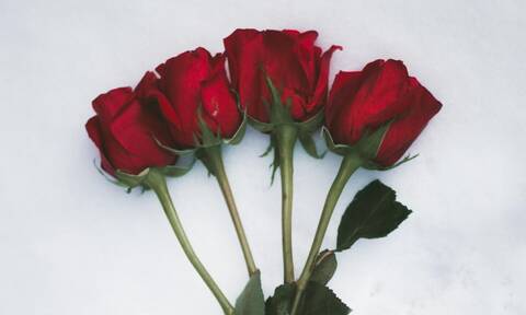 Αγίου Βαλεντίνου: Ρεκόρ κόκκινων τριαντάφυλλων αναμένουν οι ανθοπώλες στη Θεσσαλονίκη