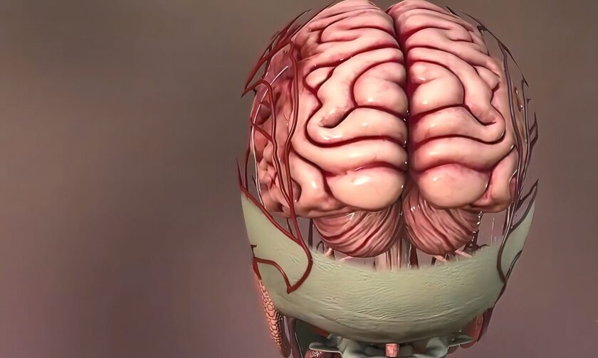 Παράλυση μετά από εγκεφαλικό: Η τεχνική που βελτιώνει την κινητικότητα