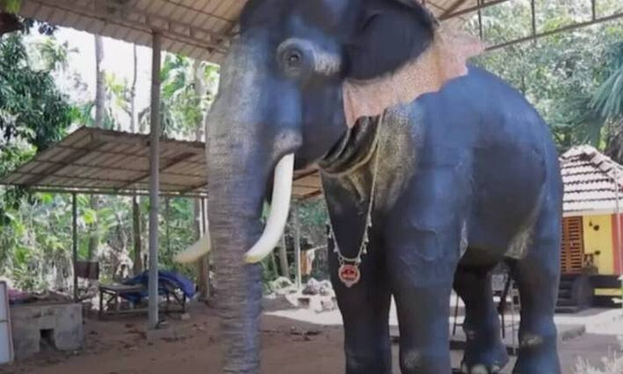 Ινδία: Ινδουιστικός ναός στην Κεράλα χρησιμοποιεί ελέφαντα… ρομπότ στις τελετές του