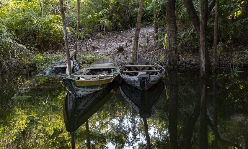 Ένας άνδρας επιβίωσε επί ένα μήνα στις ζούγκλες του Αμαζονίου