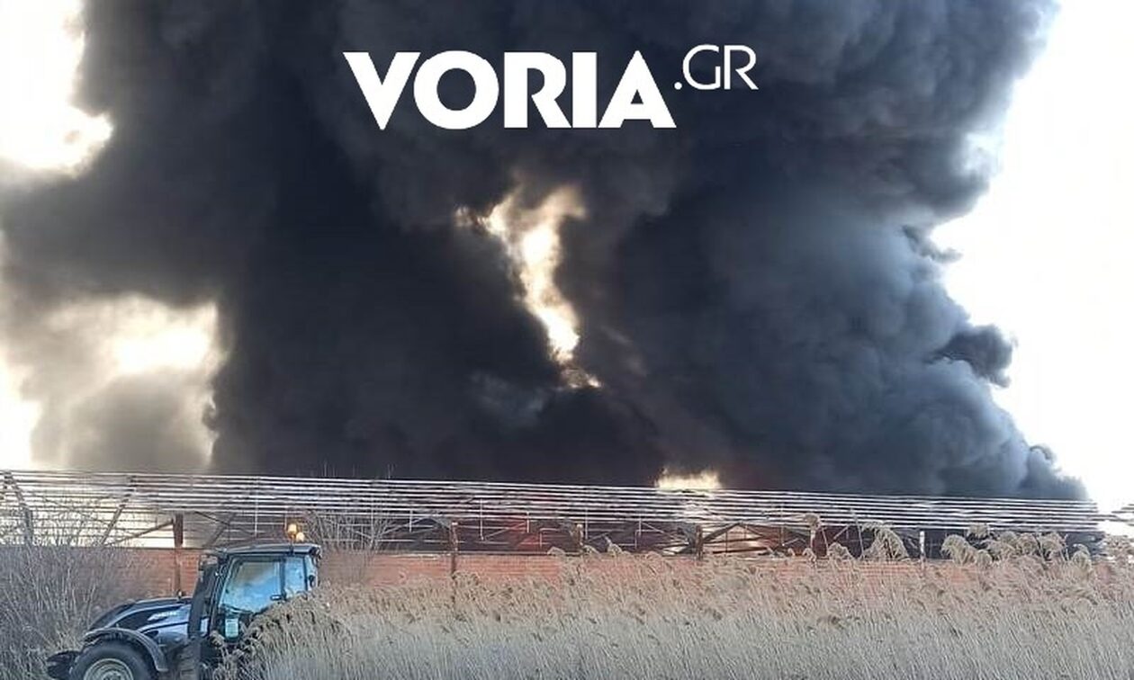 Φωτιά στη Θεσσαλονίκη: Καίγεται εργοστάσιο στη Σίνδο