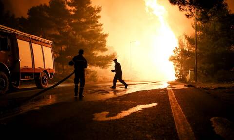 Φωτιά στη Φθιώτιδα: Ολονύχτια «μάχη» με τις φλόγες μέσα σε πυκνό πευκοδάσος