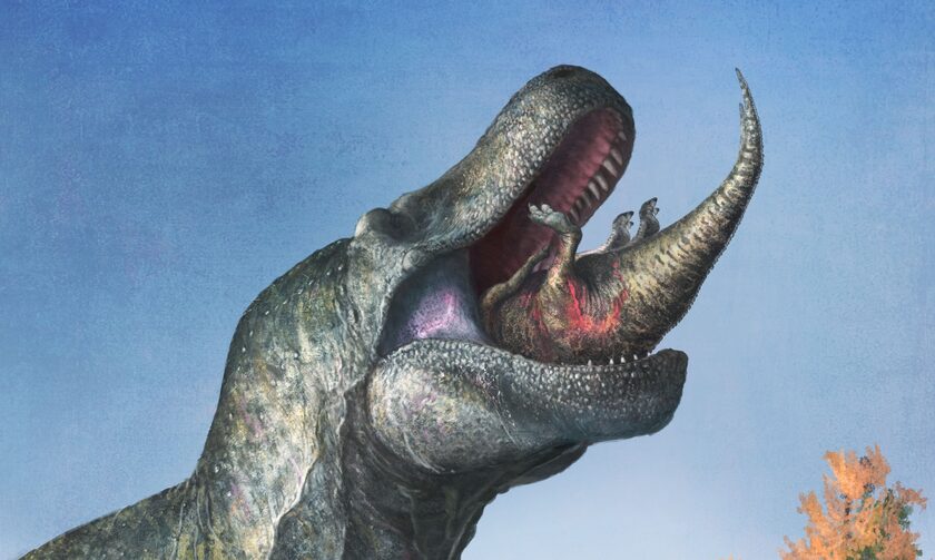 Νέες αποκαλύψεις για τα δόντια του Τυραννόσαυρου Ρεξ