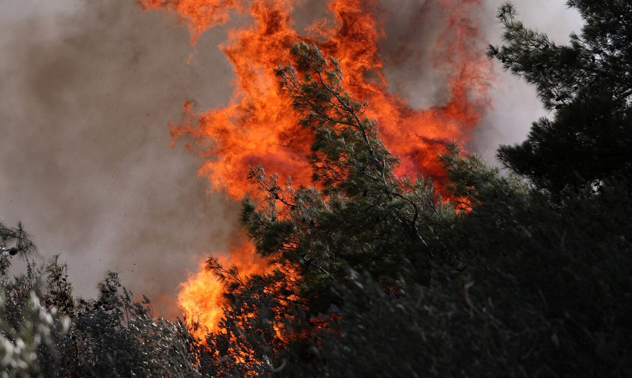 Κρήτη: Φωτιά στα Μάλια - Εκτός ελέγχου λόγω των ισχυρών ανέμων