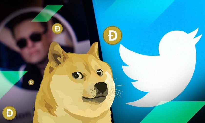 Έλον Μασκ: Άλλαξε το λογότυπο του Twitter - Ο σκύλος Σίμπα Ίνου
