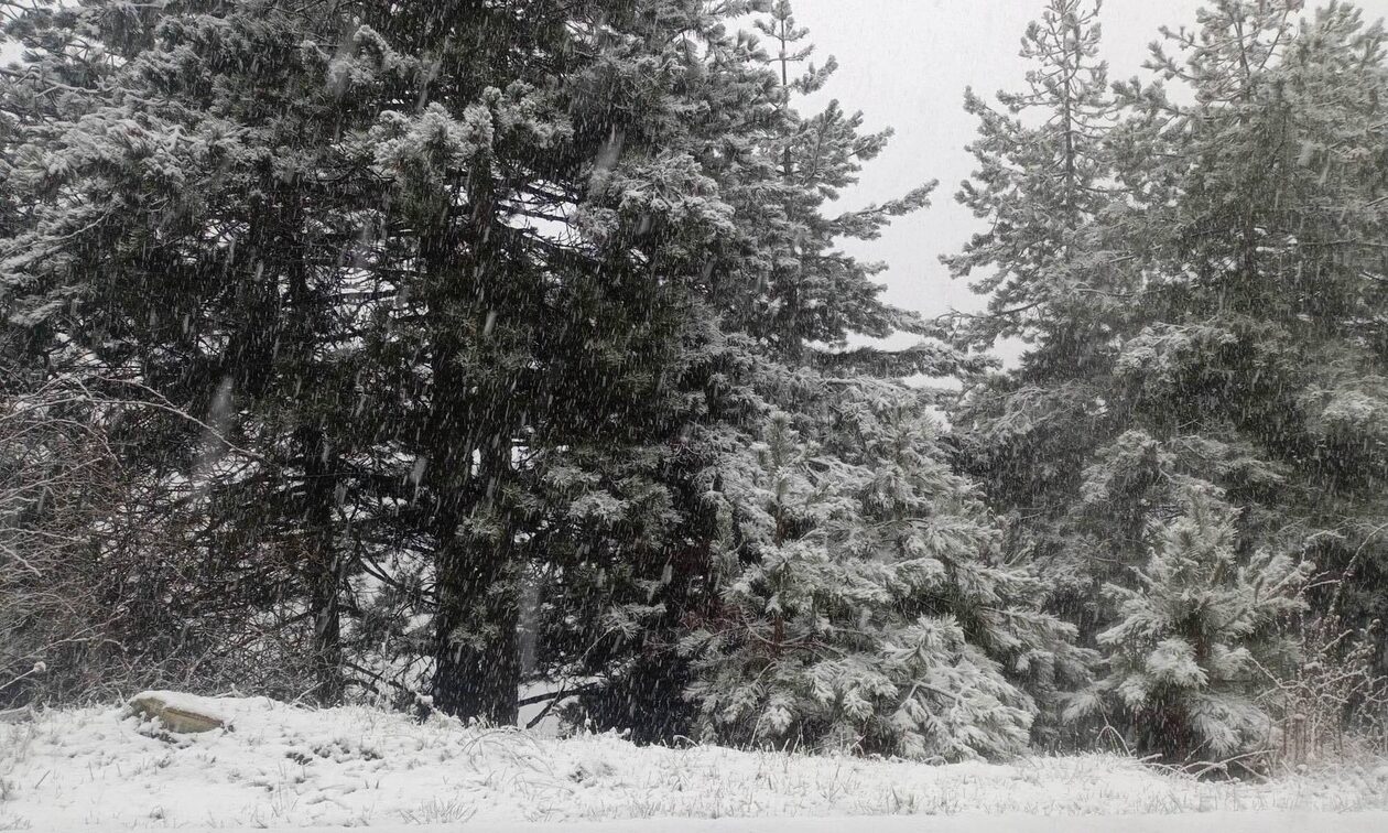 Λάρισα: Μεγάλη Εβδομάδα με χιόνι στα ορεινά της Ελασσόνας