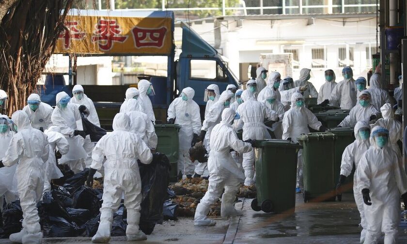 Συναγερμός για τη γρίπη των πτηνών στην Κίνα