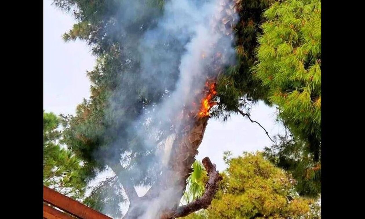 Μαρούσι: Κεραυνός έπεσε δίπλα σε καφετέρια - Πήραν φωτιά τα δέντρα