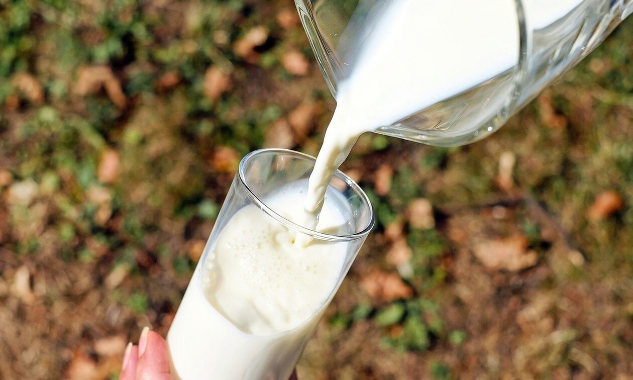 Αγελαδινό γάλα: Έπεσε η τιμή από τον κτηνοτρόφο – Παραμένουν αμετάβλητες οι τιμές στα σούπερ μάρκετ