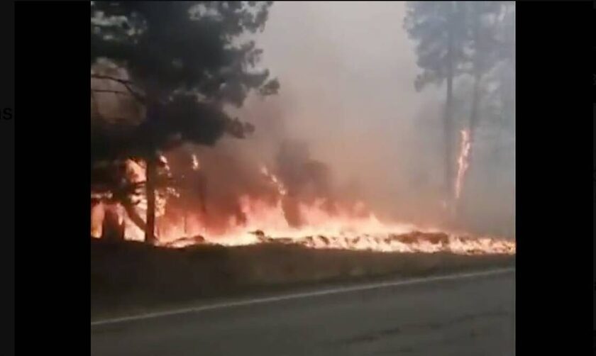 Ρωσία: Δασική πυρκαγιά μαίνεται εκτός ελέγχου - Εκκενώθηκε χωριό