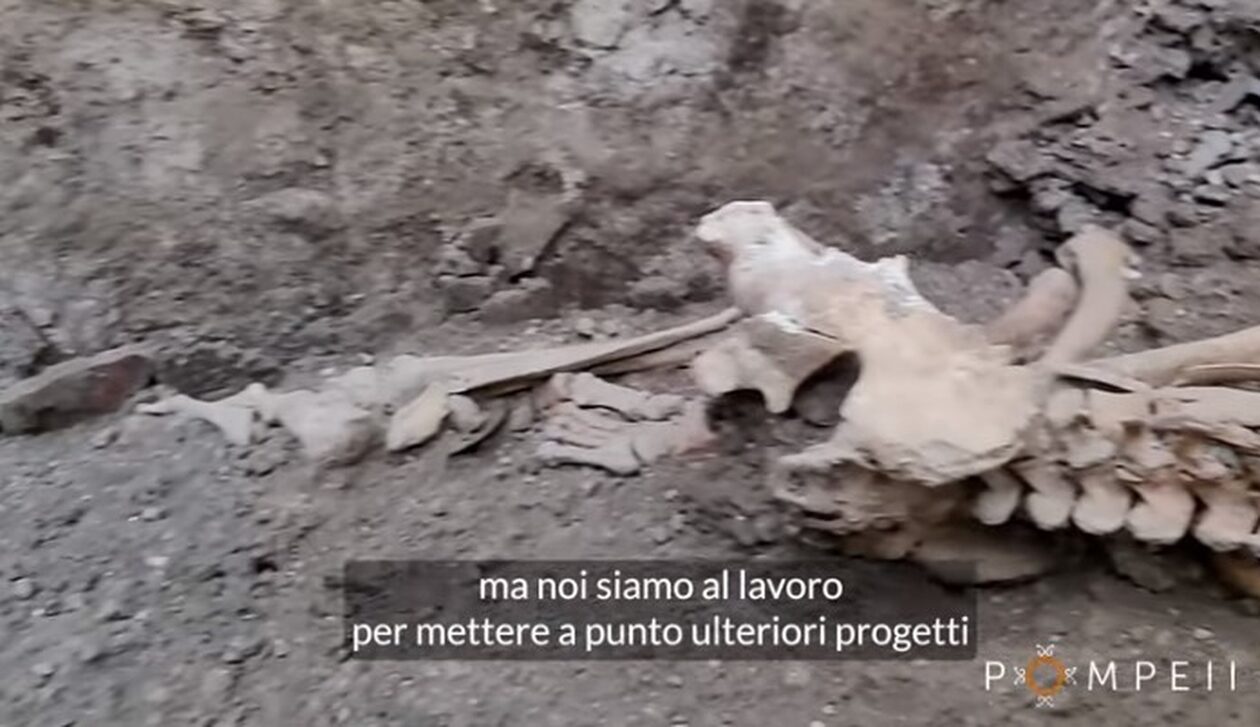 Νέα συγκλονιστική ανακάλυψη στην Πομπηία με τους σκελετούς δύο ανδρών