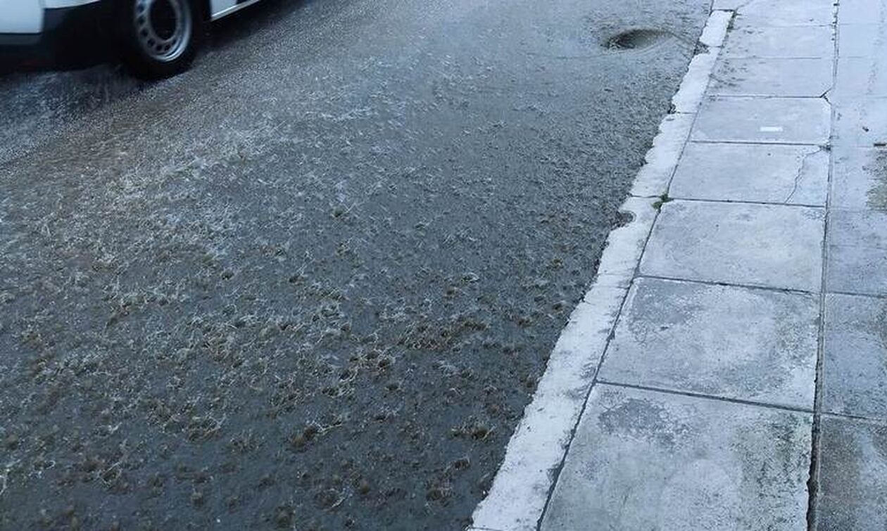 Πάτρα: Το μπουρίνι έβγαλε τα λύματα στο δρόμο στην περιοχή του Ψάχου! - Αποπνικτική η κατάσταση