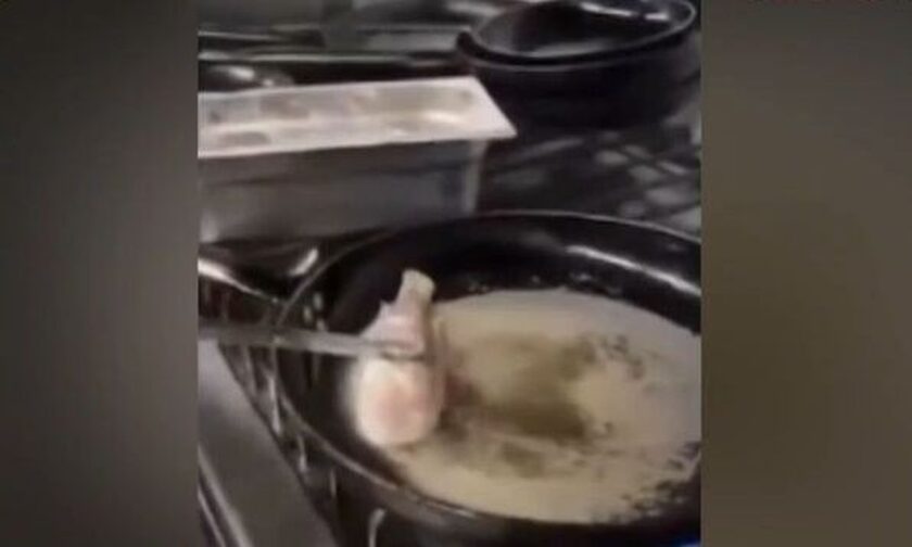 Κάρπαθος: Σάλος με το βίντεο με τα ζωντανά ψάρια στο τηγάνι - Τι απαντάει το εστιατόριο