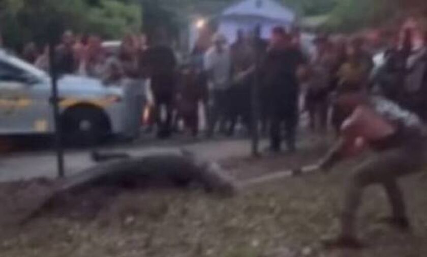 Φλόριντα: Viral η πάλη αθλητή MMA με αλιγάτορα – Δείτε βίντεο