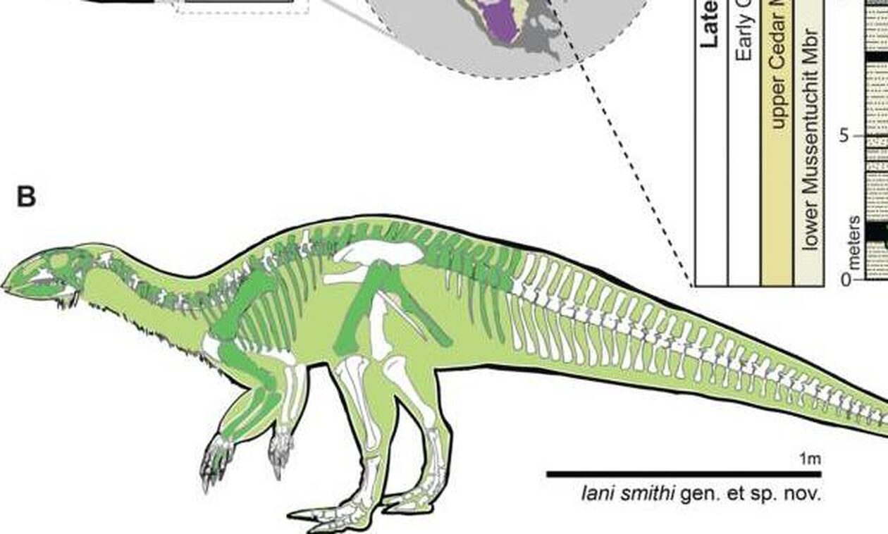 Ανακαλύφθηκε νέο είδος δεινοσαύρου στη Γιούτα - Αλλάζει τη γνώση μας για την Κρητιδική Περίοδο