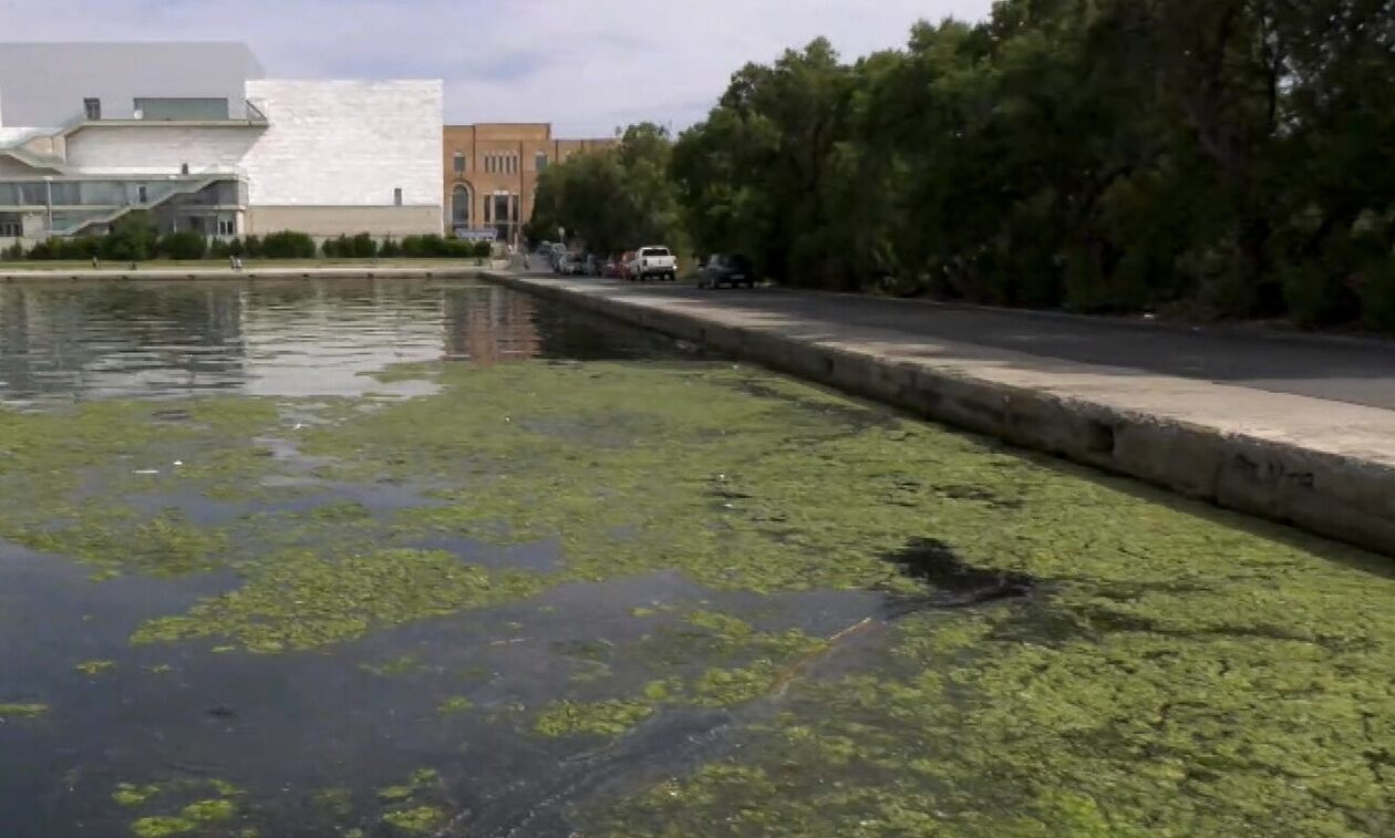 Θεσσαλονίκη: Γιατί έγινε πράσινος ο Θερμαϊκός Κόλπος; Τι απαντούν οι επιστήμονες