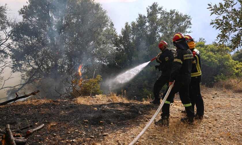Υπό μερικό έλεγχο η πυρκαγιά σε δασική έκταση στα Μέθανα