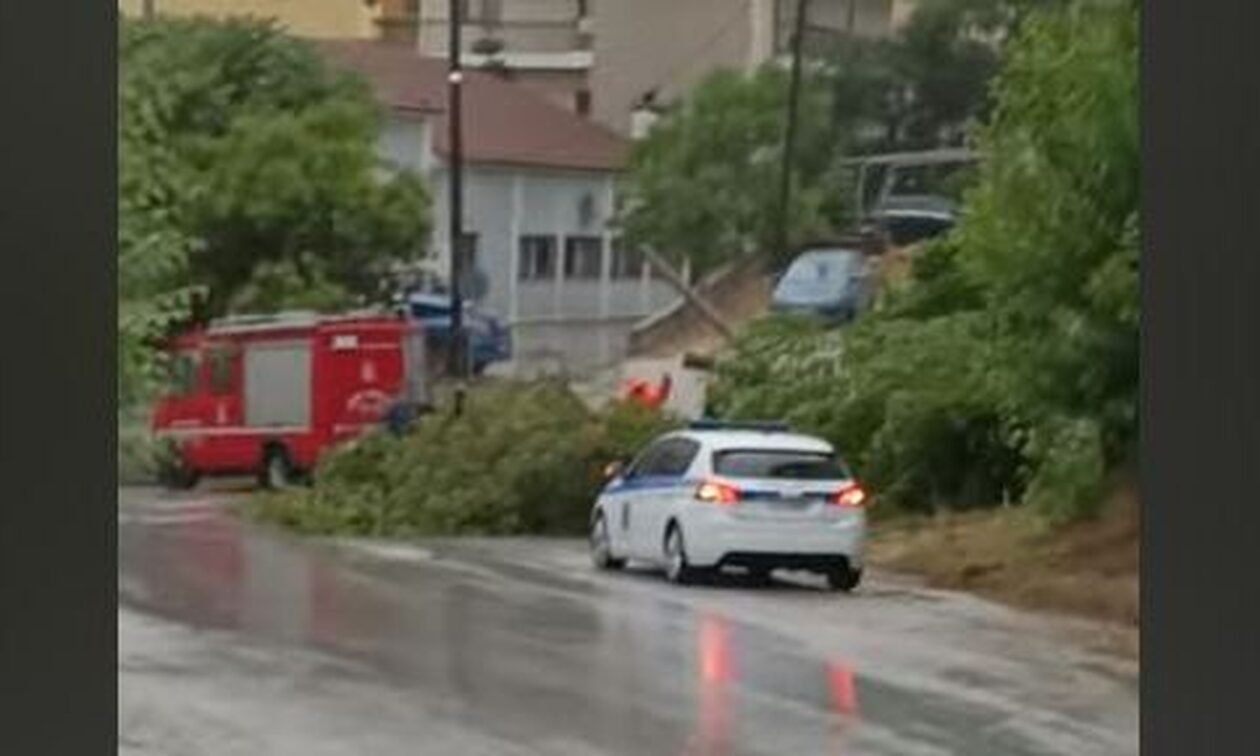 Φλώρινα: Πτώση δέντρου σε κεντρικό δρόμο λόγω της κακοκαιρίας