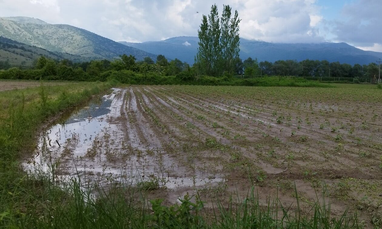 Κακοκαιρία Κοζάνη: Βροχή τα αιτήματα για κήρυξη δήμων σε κατάσταση έκτακτης ανάγκης