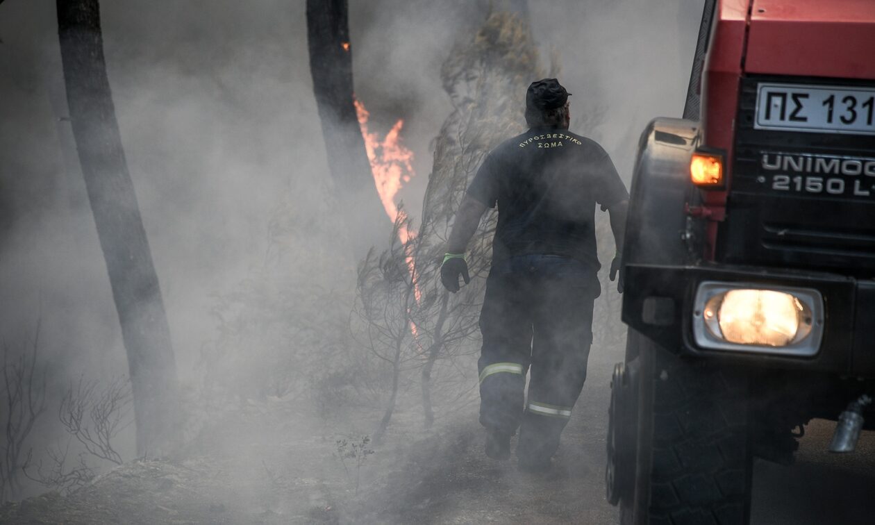 Καλαμάτα: Πήγαν να σβήσουν τη φωτιά και βρήκαν χασισοφυτεία σε μποστάνι