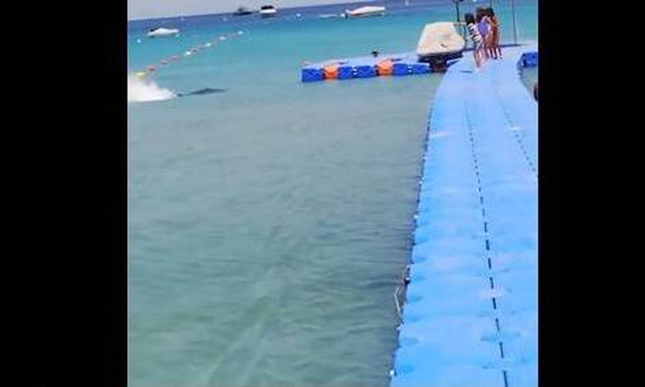 Μάλτα: «Τρέξτε καρχαρίας», αλλά τίποτα δεν είναι όπως φαίνεται