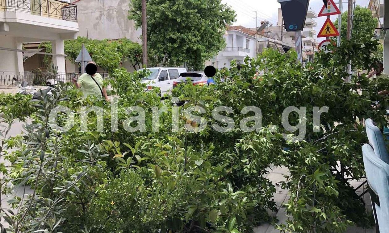 Κακοκαιρία: Πτώση δέντρου εξαιτίας των ισχυρών ανέμων στην Λάρισα