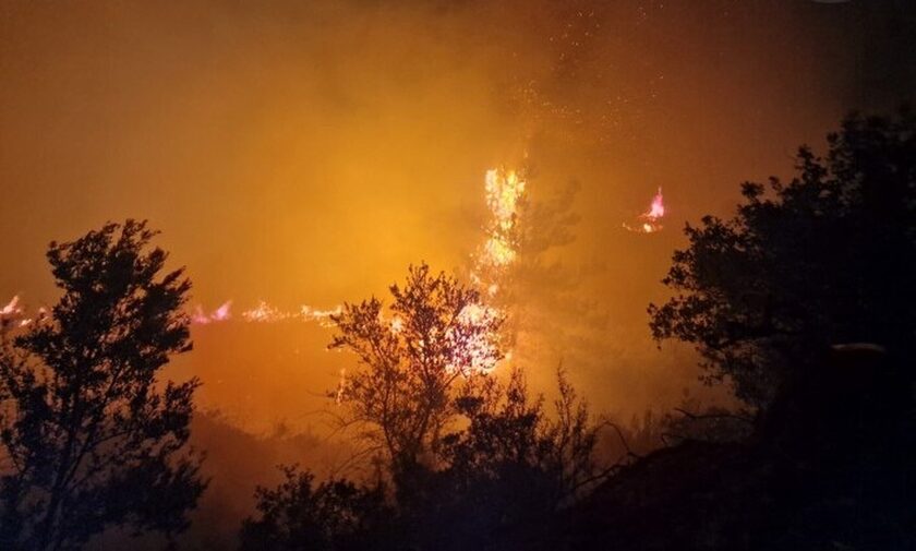 Πυρκαγιά στη Ρόδο: Μεγάλη κινητοποίηση της Πυροσβεστικής - Εκκενώθηκε ξενοδοχείο λόγω των καπνών