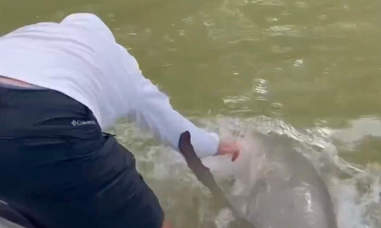 Φλόριντα: Σοκαριστική επίθεση καρχαρία σε ψαρά - Πήγε να πλύνει τα χέρια του και τον δάγκωσε