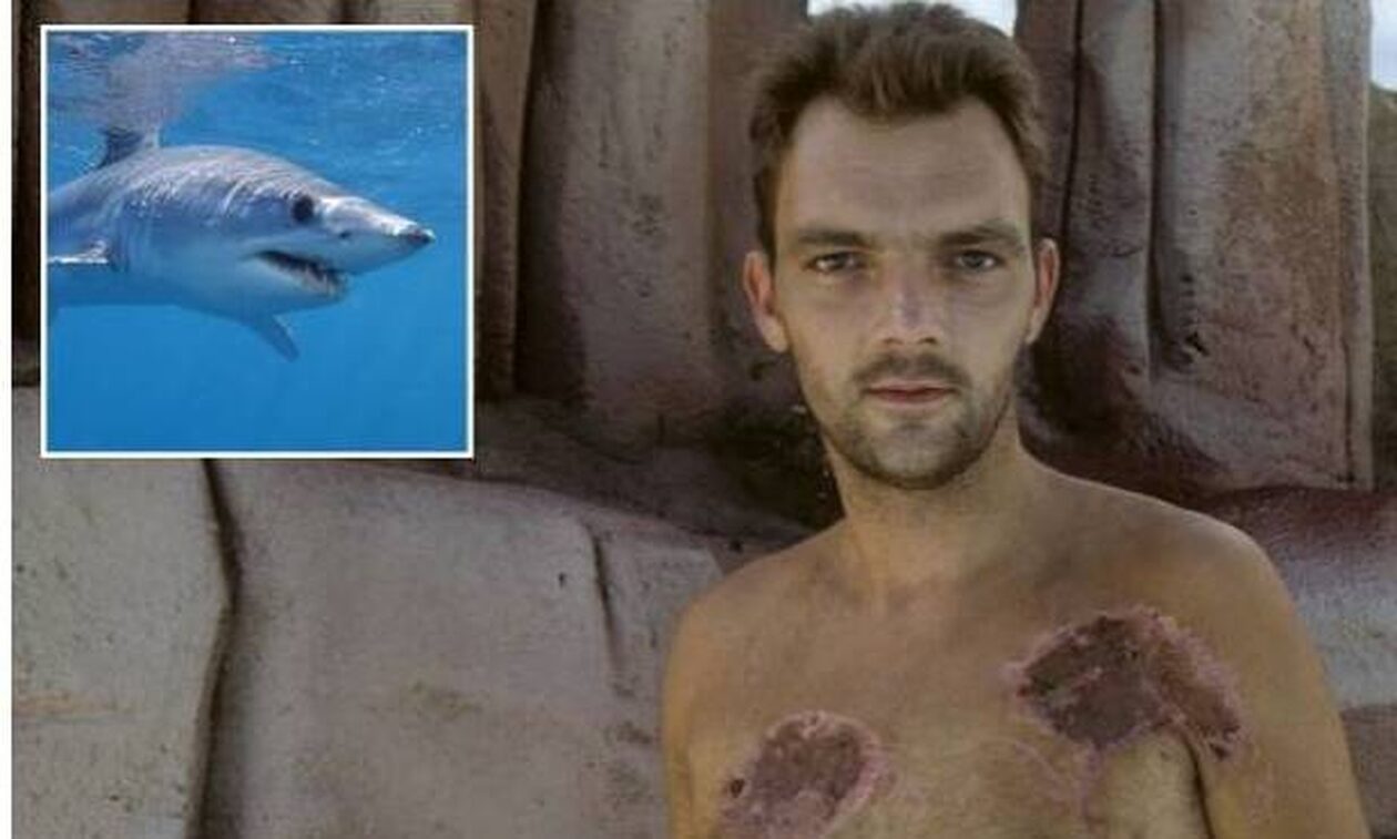 Άνδρας που δέχτηκε επίθεση από καρχαρία περίμενε να πεθάνει, όταν δελφίνια του έσωσαν τη ζωή