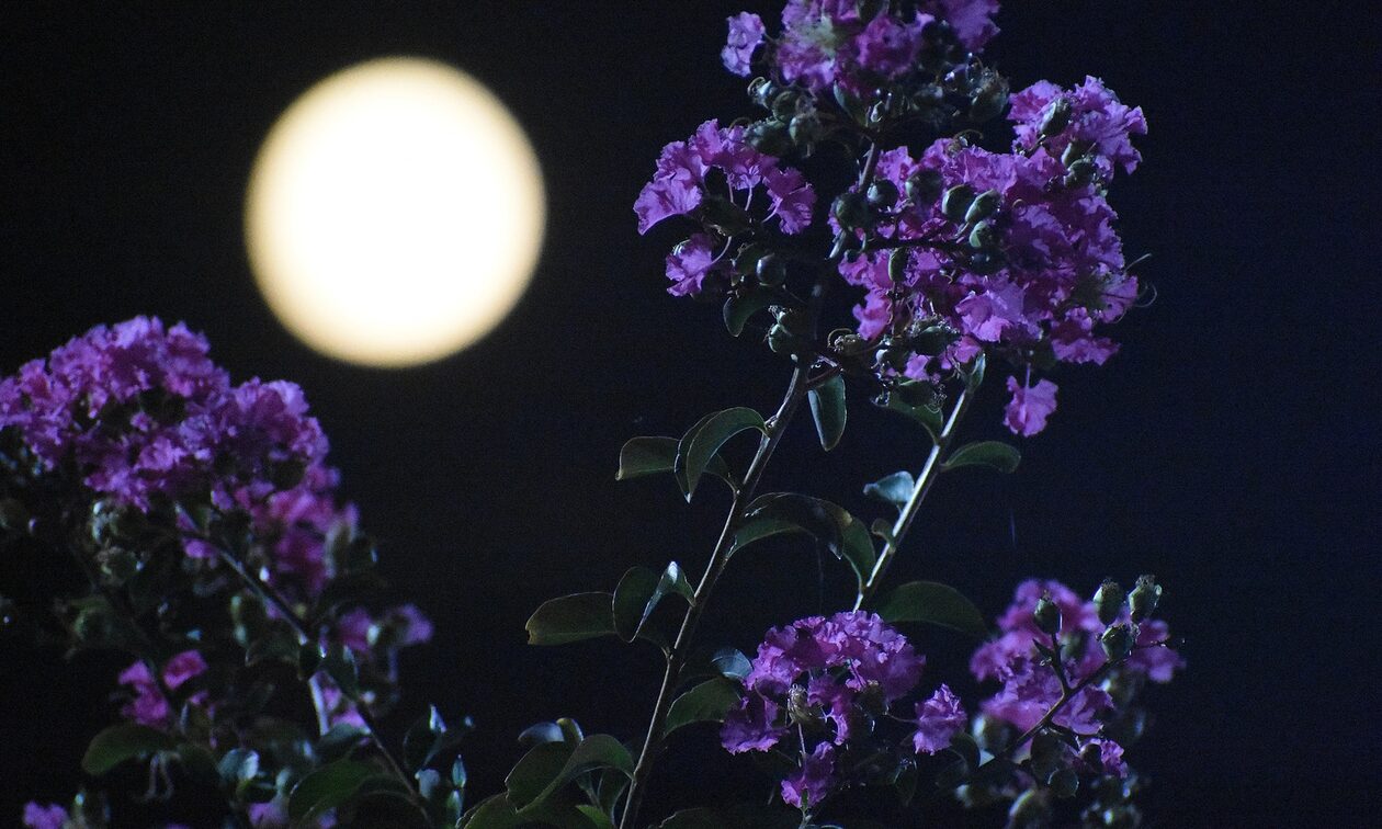 Πανσέληνος Ιουλίου 2023: Κορυφώνεται απόψε το «Φεγγάρι του Ελαφιού»