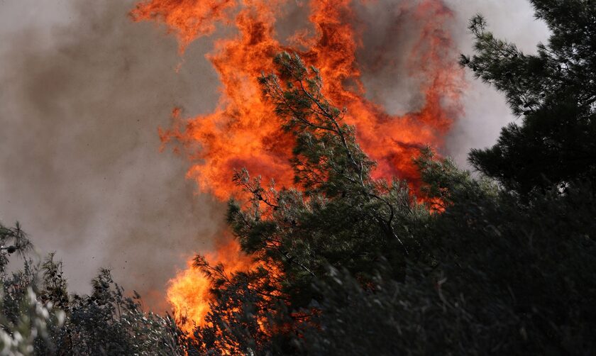 Φωτιά: Υψηλός κίνδυνος πυρκαγιάς την Τετάρτη 5 Ιουλίου - Αναλυτικός χάρτης