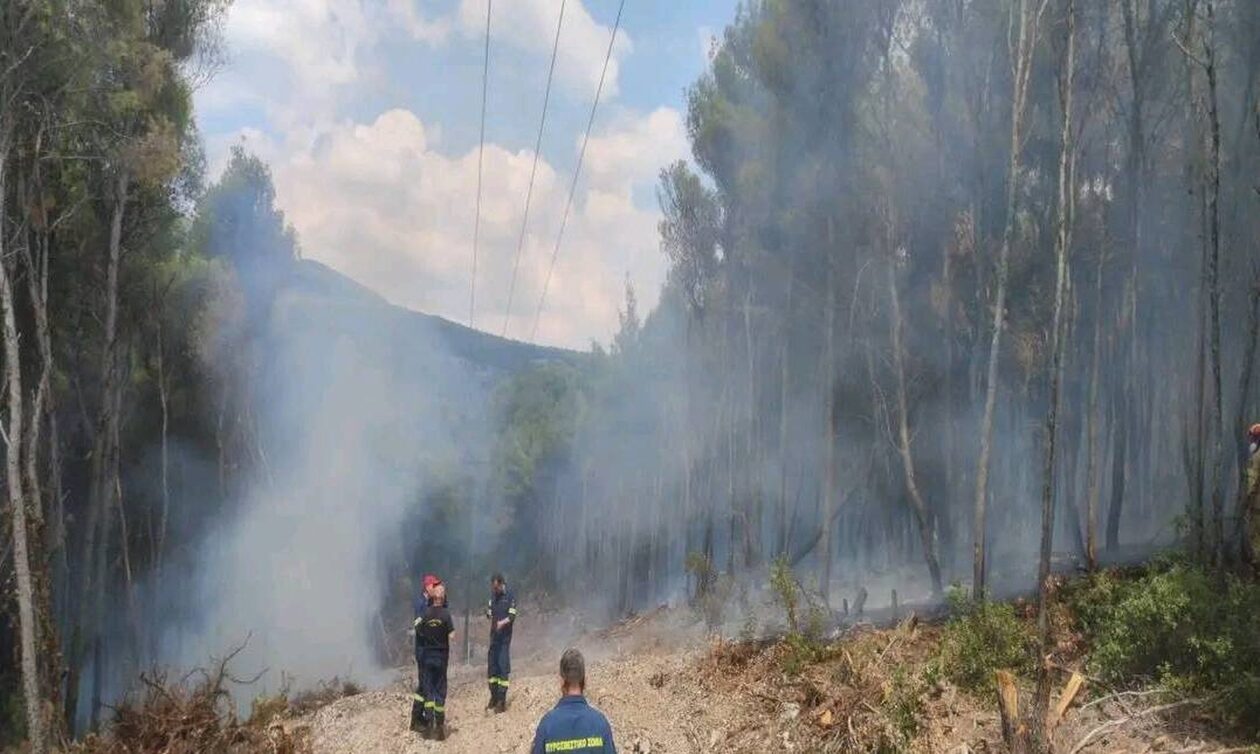 Φωτιά στην Ψάθα: Οριοθετήθηκε η πυρκαγιά - Παραμένουν οι δυνάμεις στην περιοχή