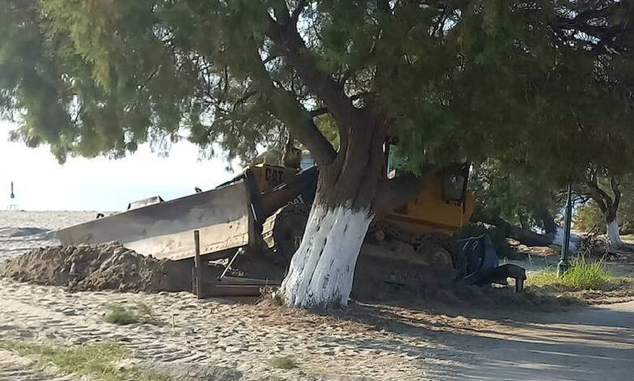 Λάρισα: Κατέστρεψαν ράμπες ΑμεΑ και ξερίζωσαν δέντρα στην παραλία με μπουλντόζα