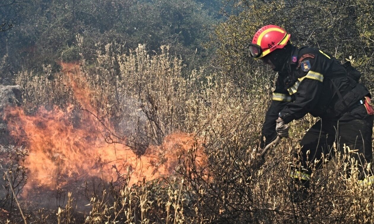 Υπό έλεγχο η φωτιά σε αγροτοδασική έκταση στην Αετορράχη Ηλείας