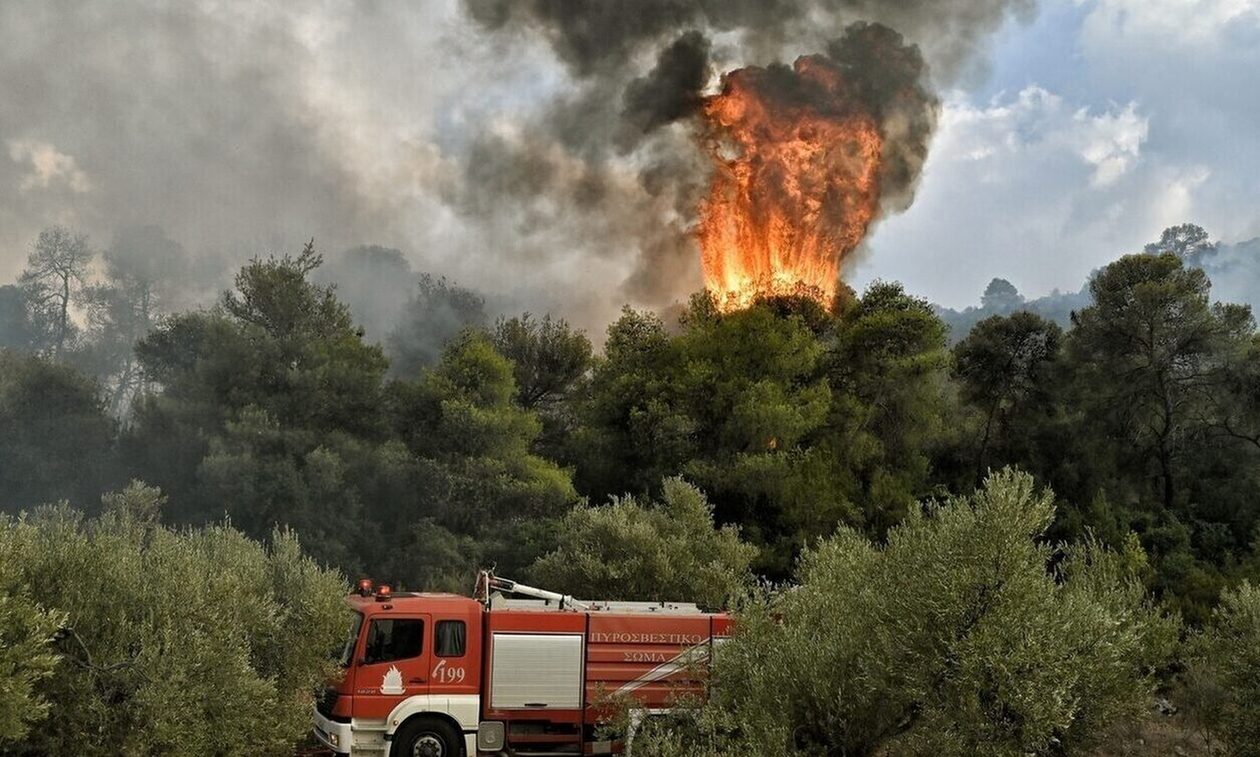 Φωτιά στην Εύβοια - Το μέτωπο δίπλα στο εργοστάσιο της ΔΕΗ