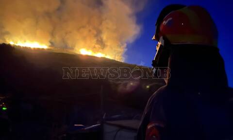 Φωτιά στην Εύβοια: Ολονύχτια μάχη με τις φλόγες στο Αλιβέρι – Σηκώθηκαν τα εναέρια μέσα