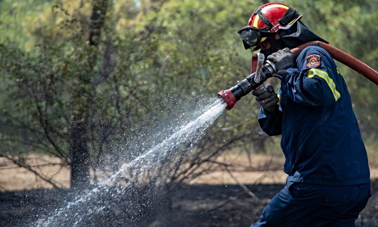 Πυρκαγιά στα Καλύβια - Άμεση επέμβαση της Πυροσβεστικής