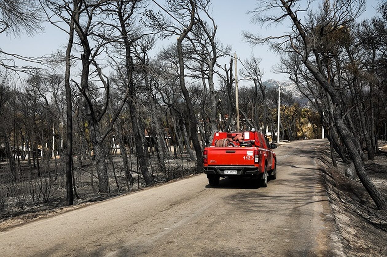 Πυρκαγιές: Ακαθάριστα οικόπεδα και μελίσσια απειλούν την χώρα με «μπουρλότο»