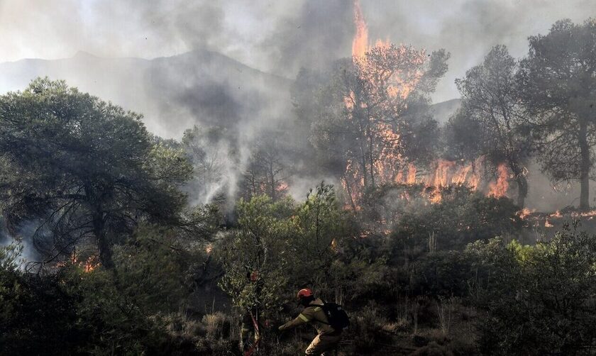 Πενήντα δασικές πυρκαγιές το τελευταίο εικοσιτετράωρο - Πολύ υψηλός ο κίνδυνος σήμερα