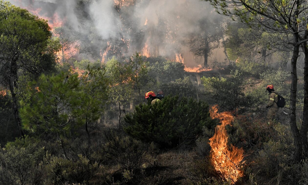 Κρήτη: Φωτιές σε Ηράκλειο και Ρέθυμνο - Στη μάχη επίγειες και εναέριες δυνάμεις